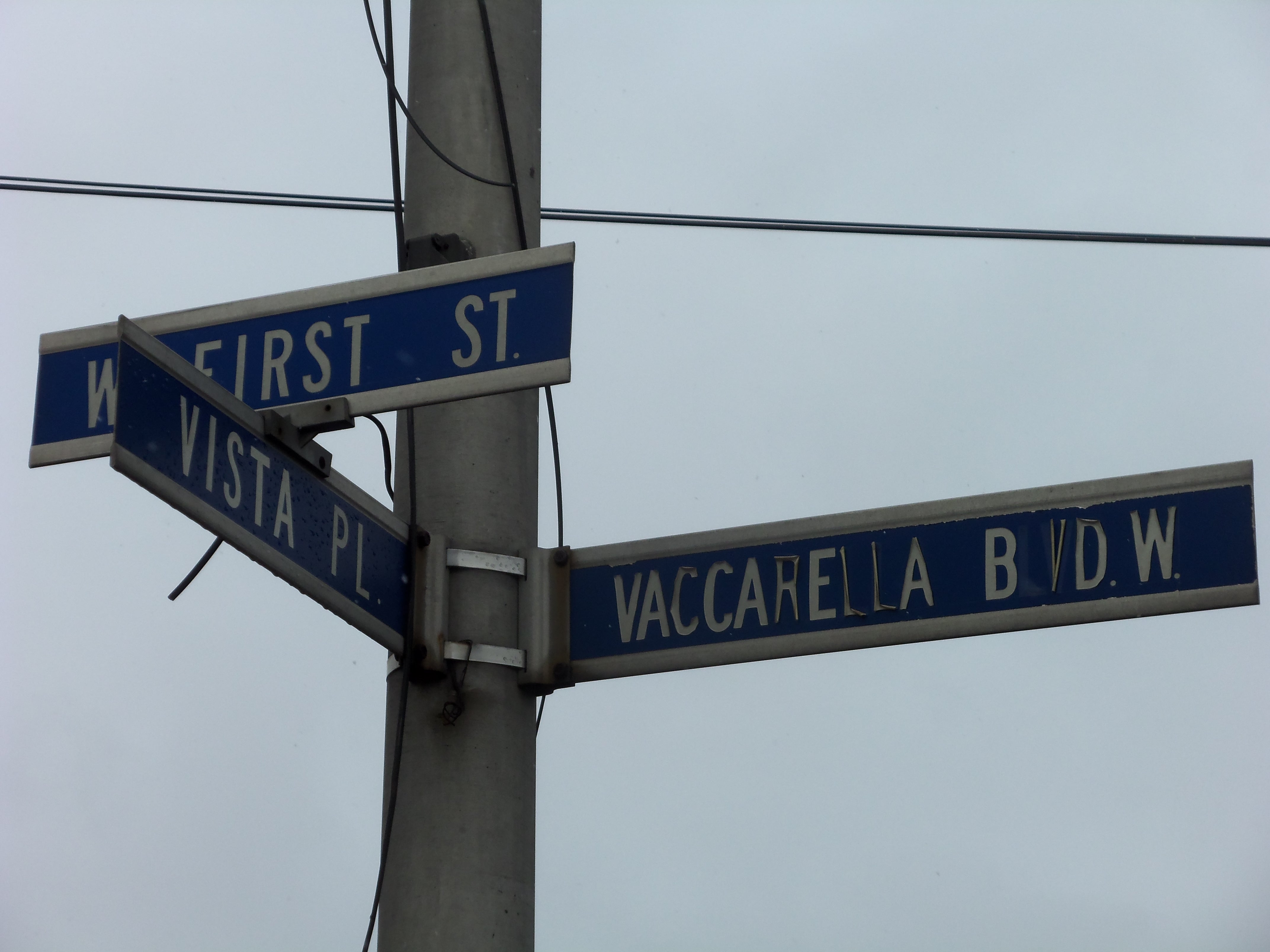 White letters on blue street signs