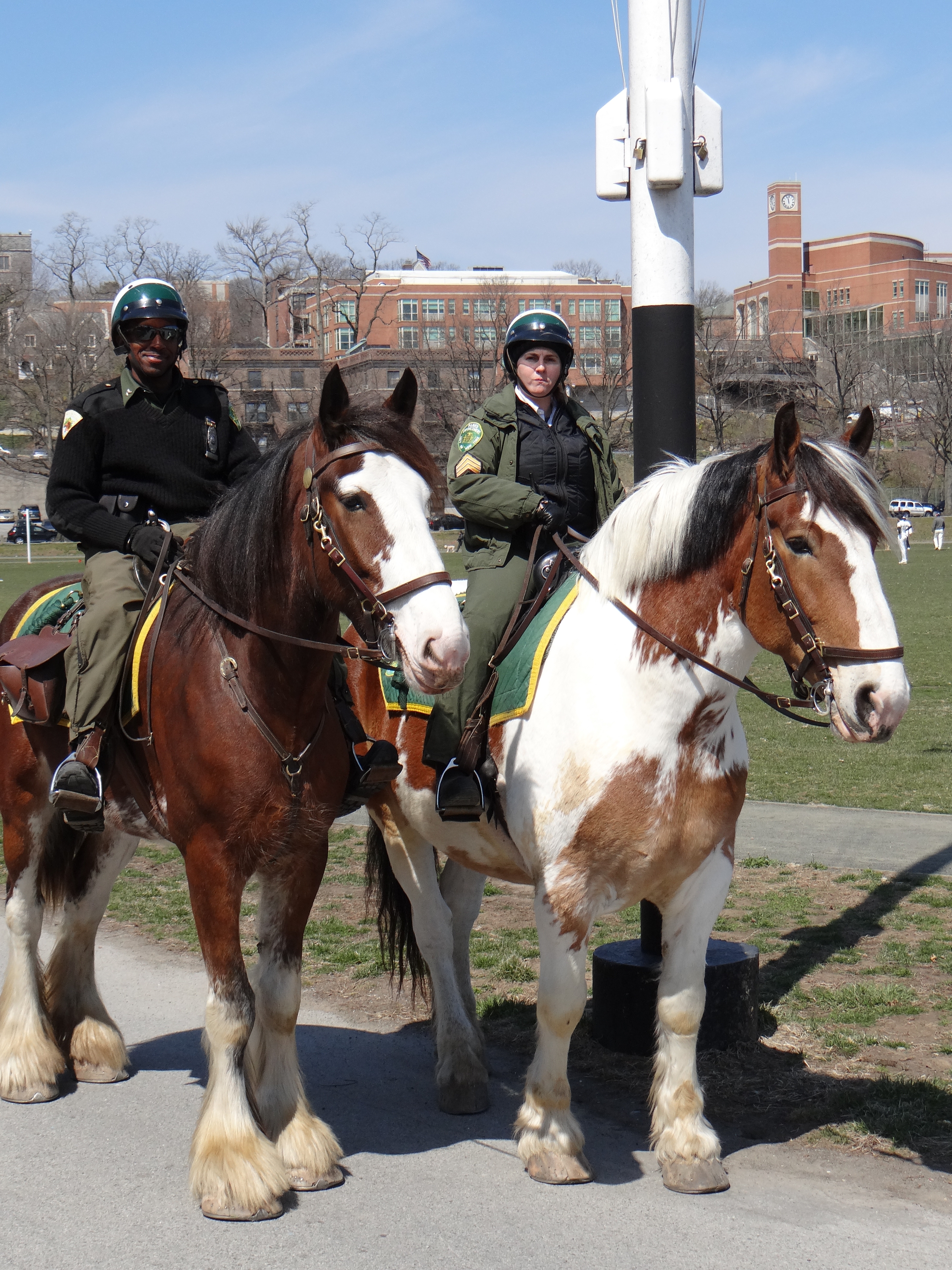 mounted Park police