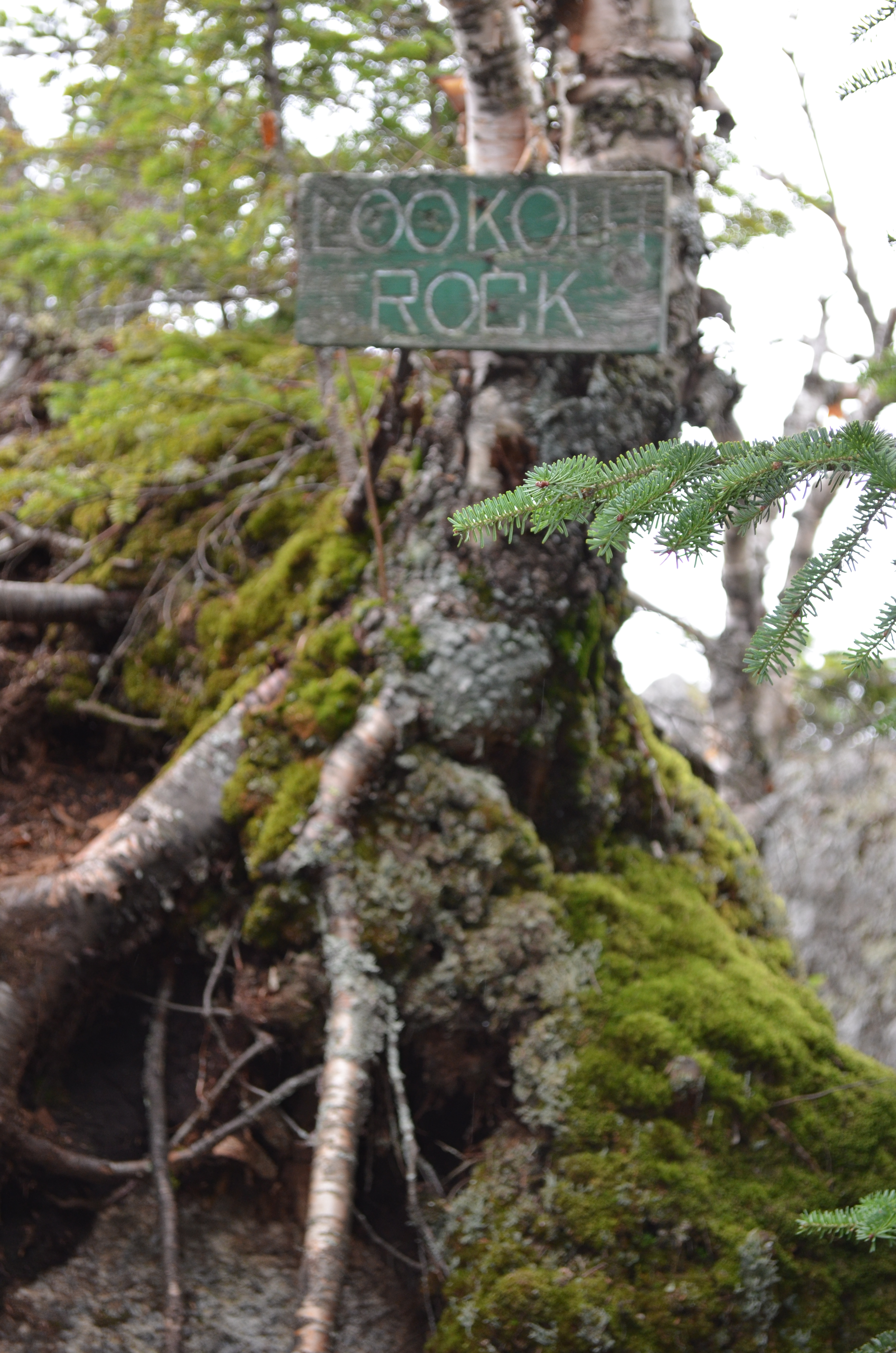sign marking Lookout Rock