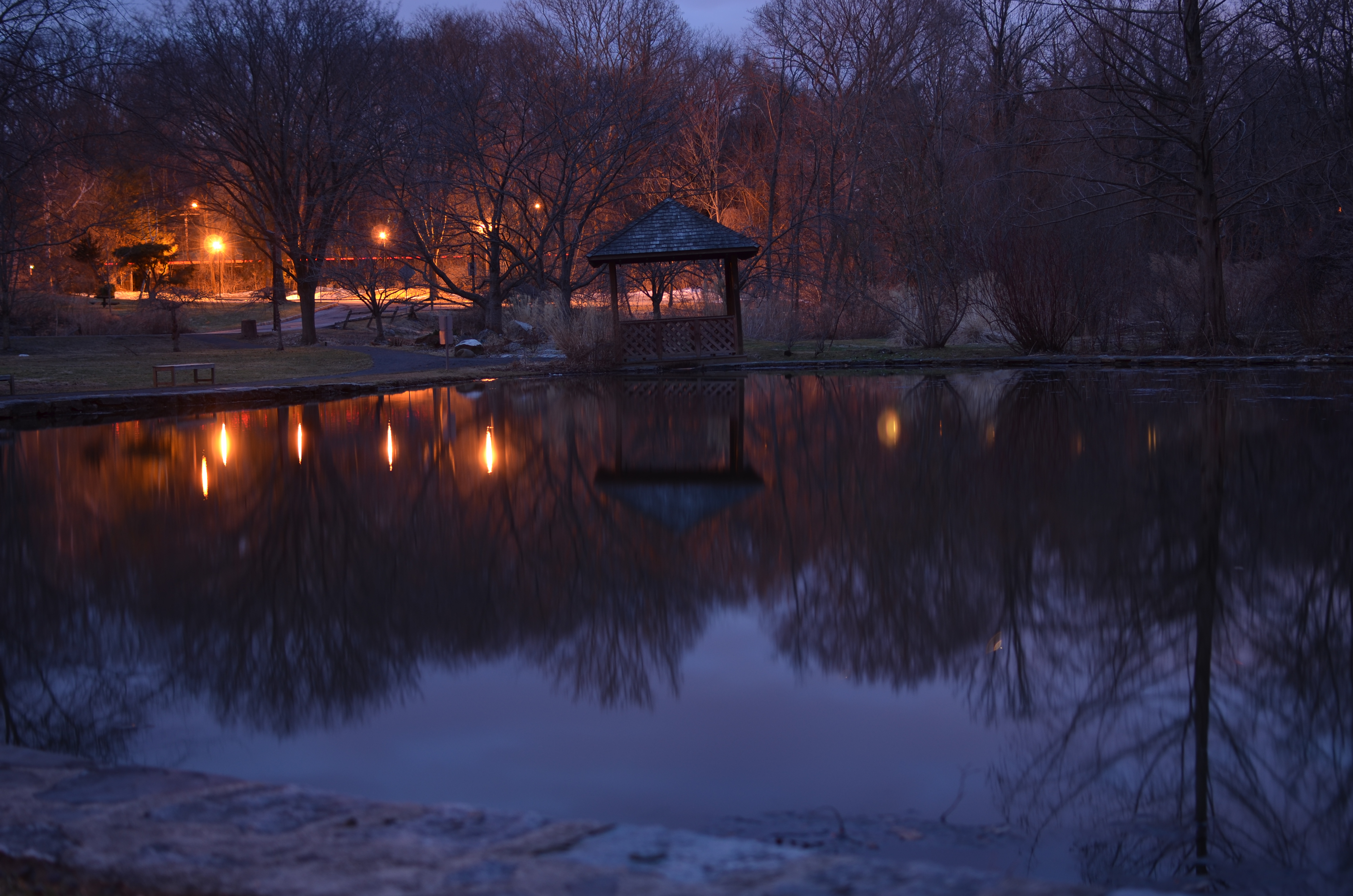 Scarsdale Library Pond