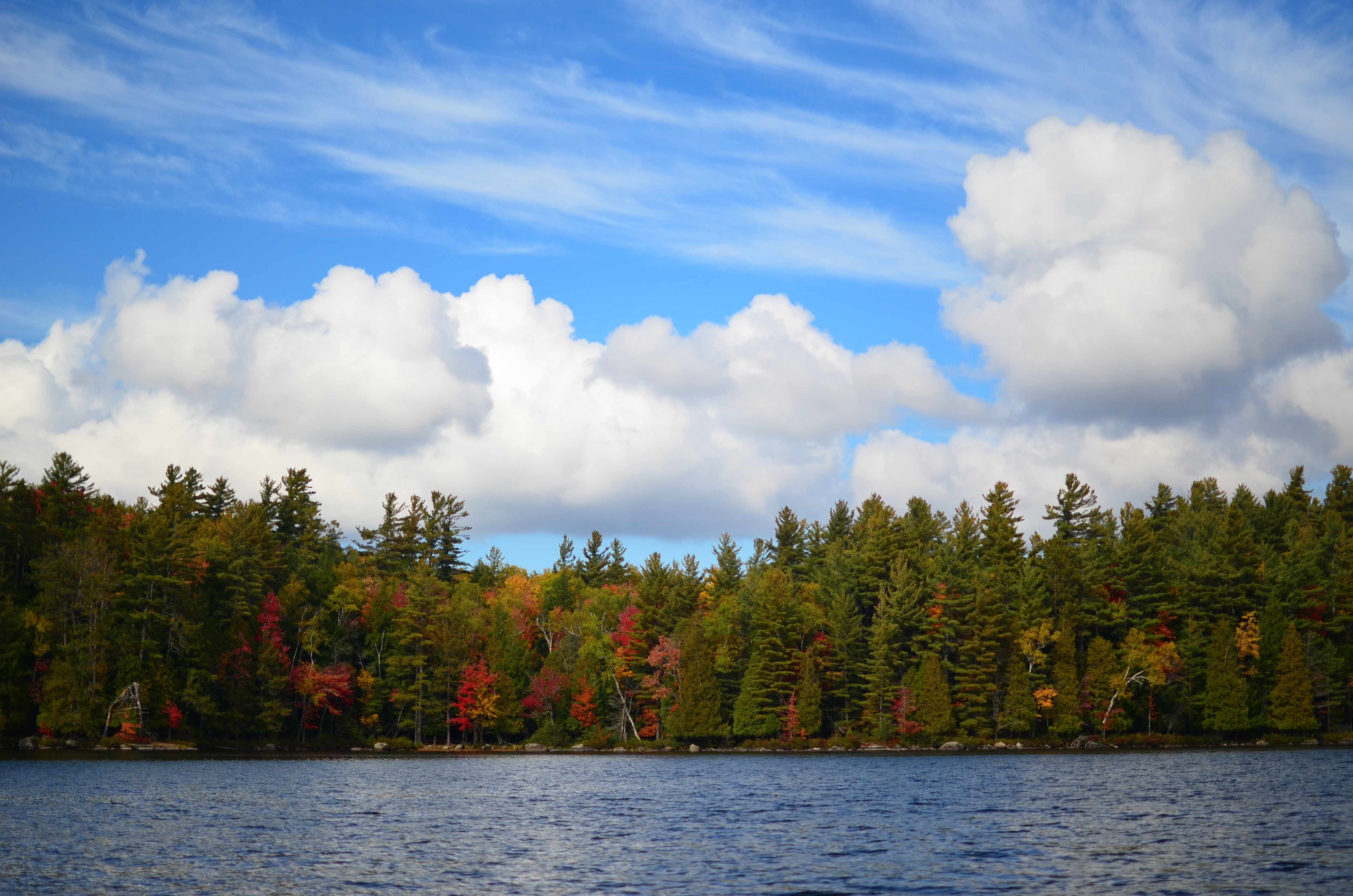 fall colors on lower saranac lake