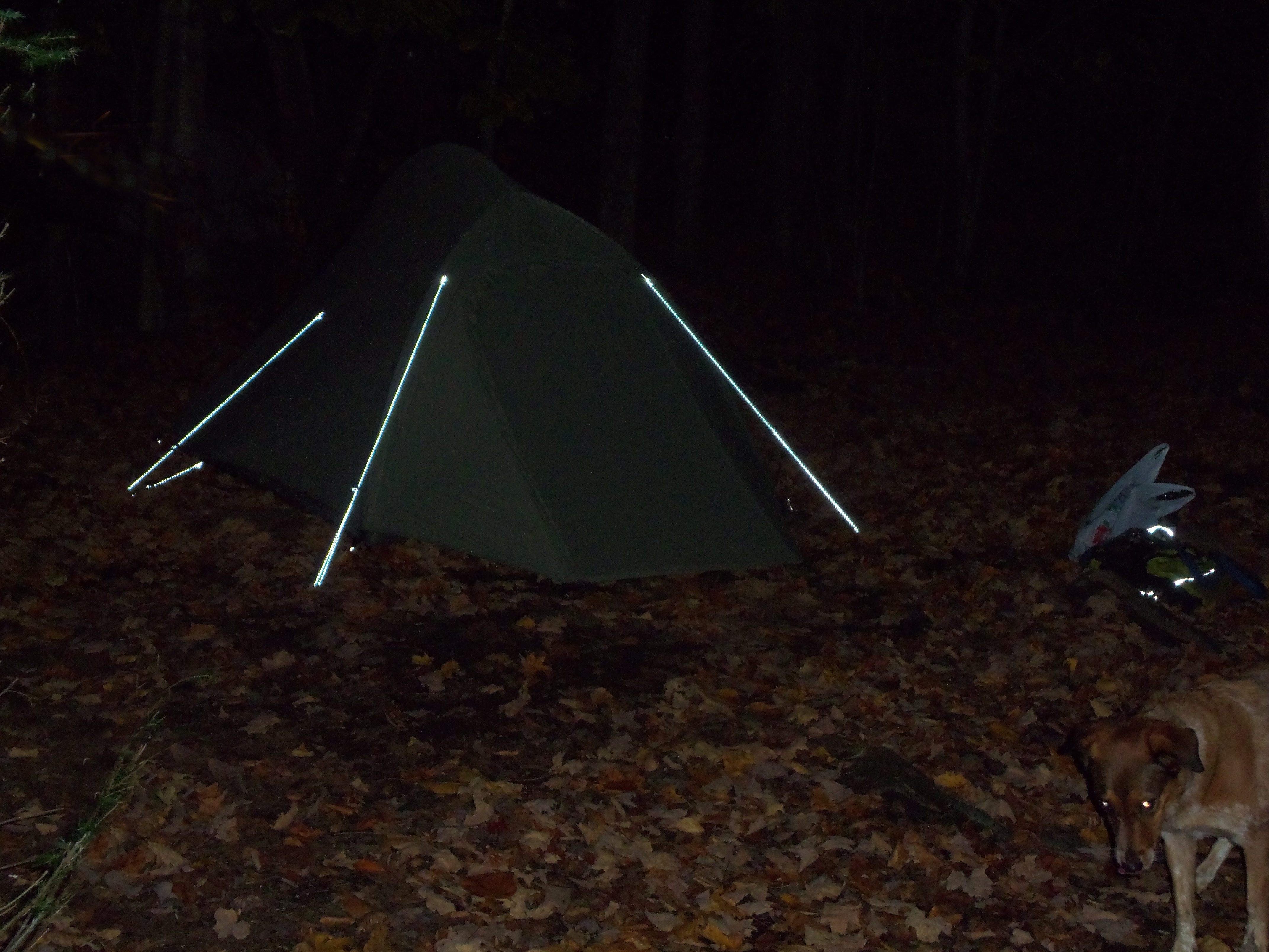 Big Agnes SL2 Seedhouse tent at night