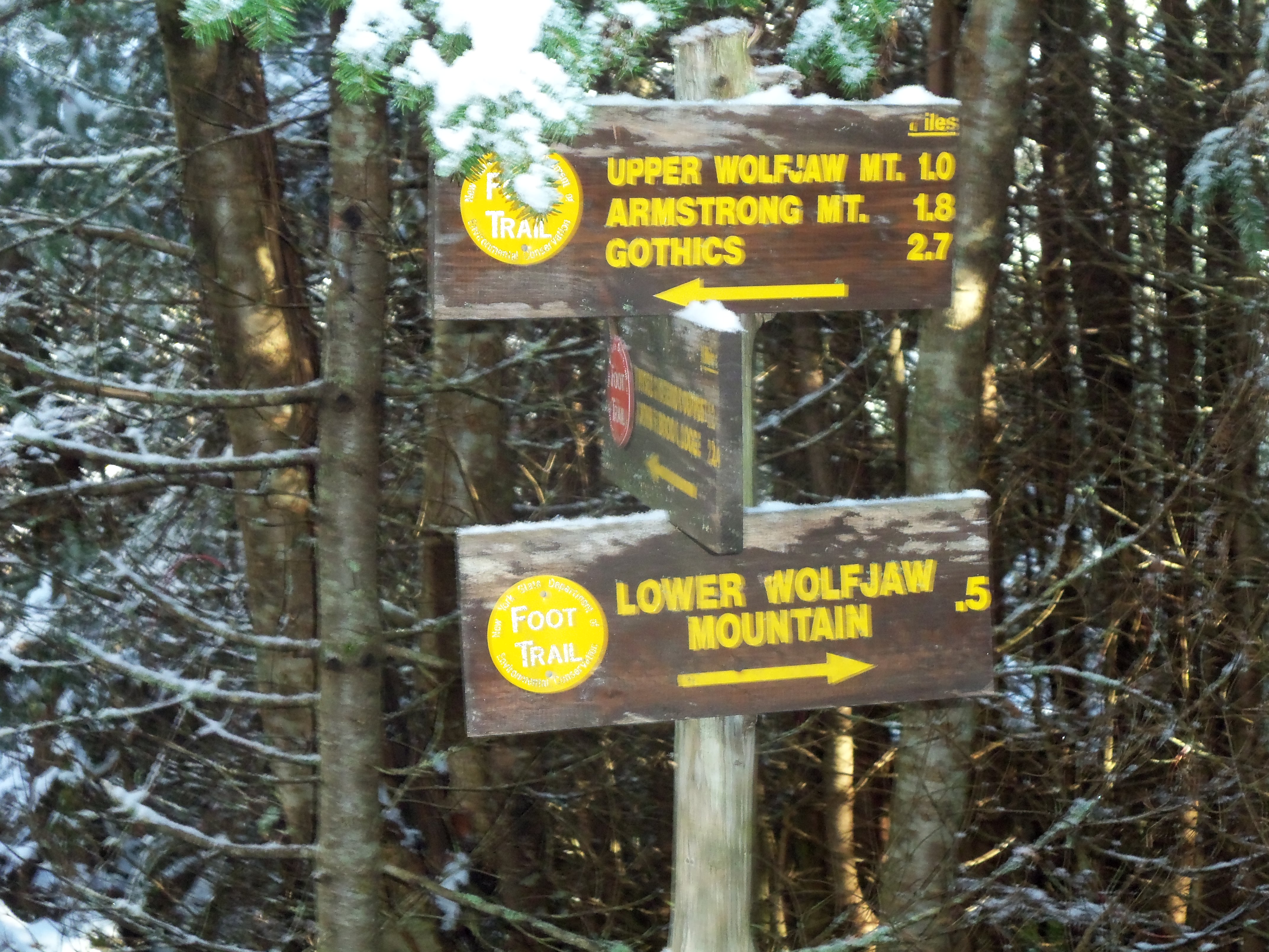 Upper and Lower Wolfjaws trail junction
