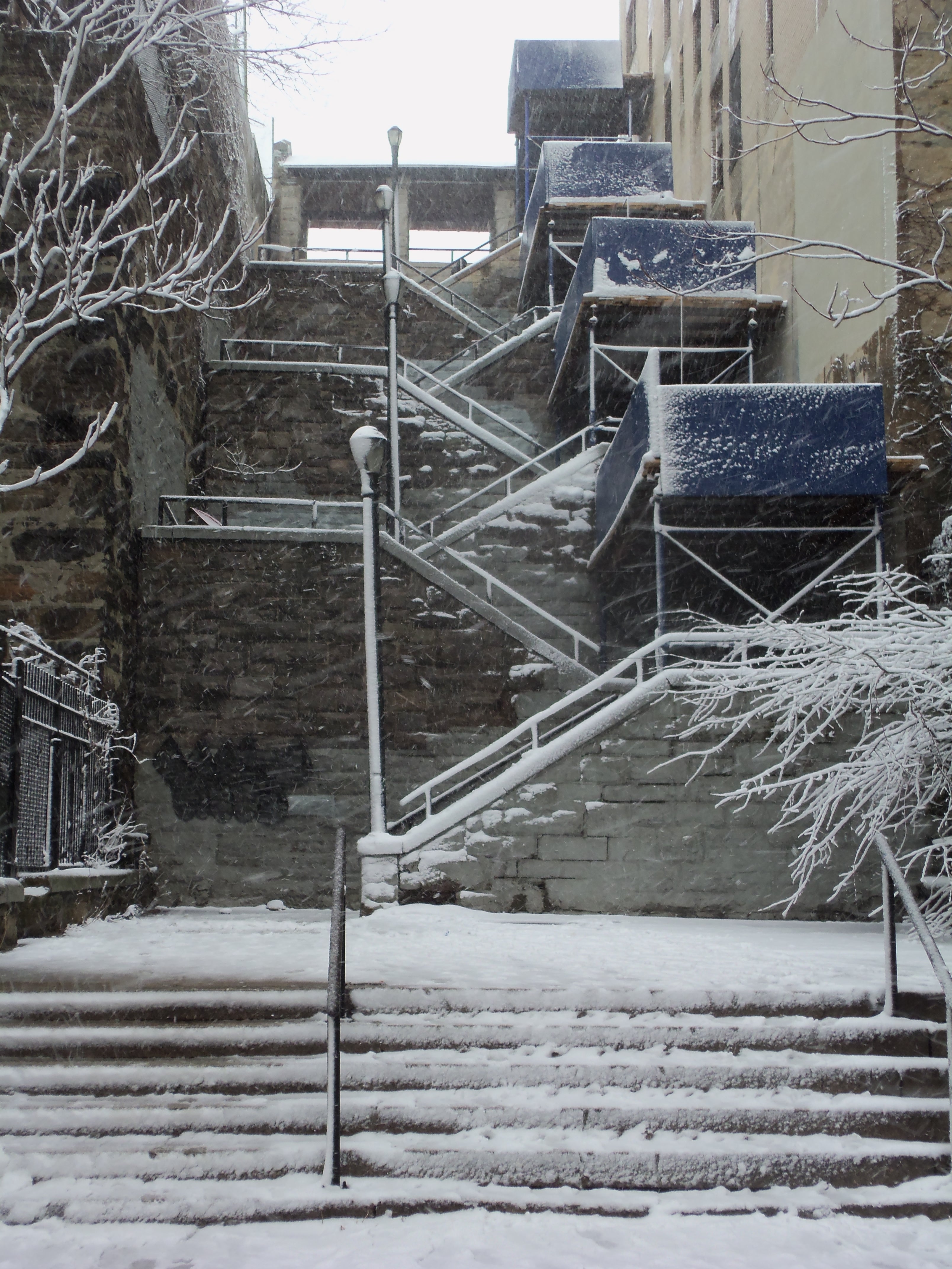 snow-covered street steps of E. 168th Street, near Clay Ave.