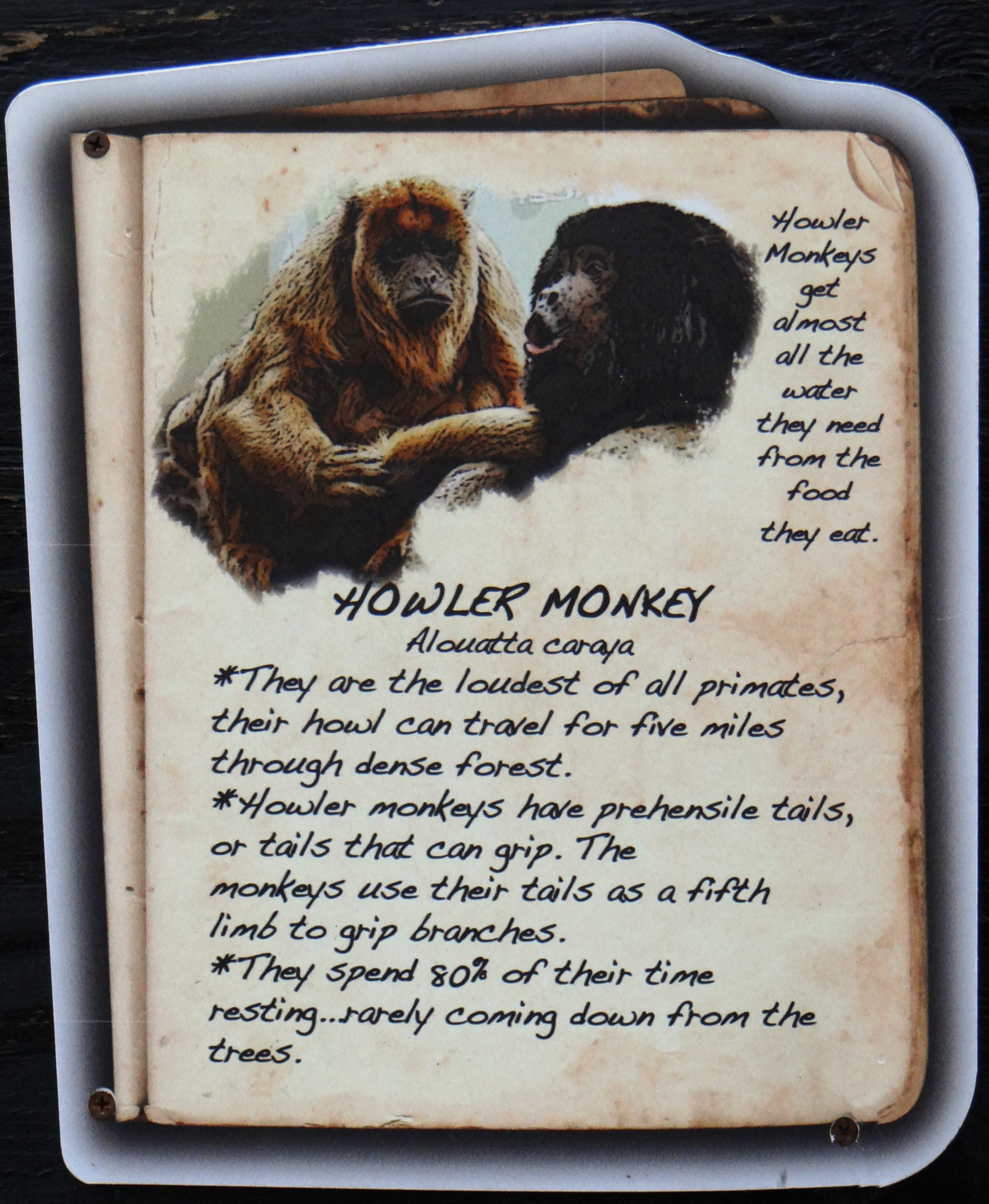 Black Howler sign at Beardsley Zoo