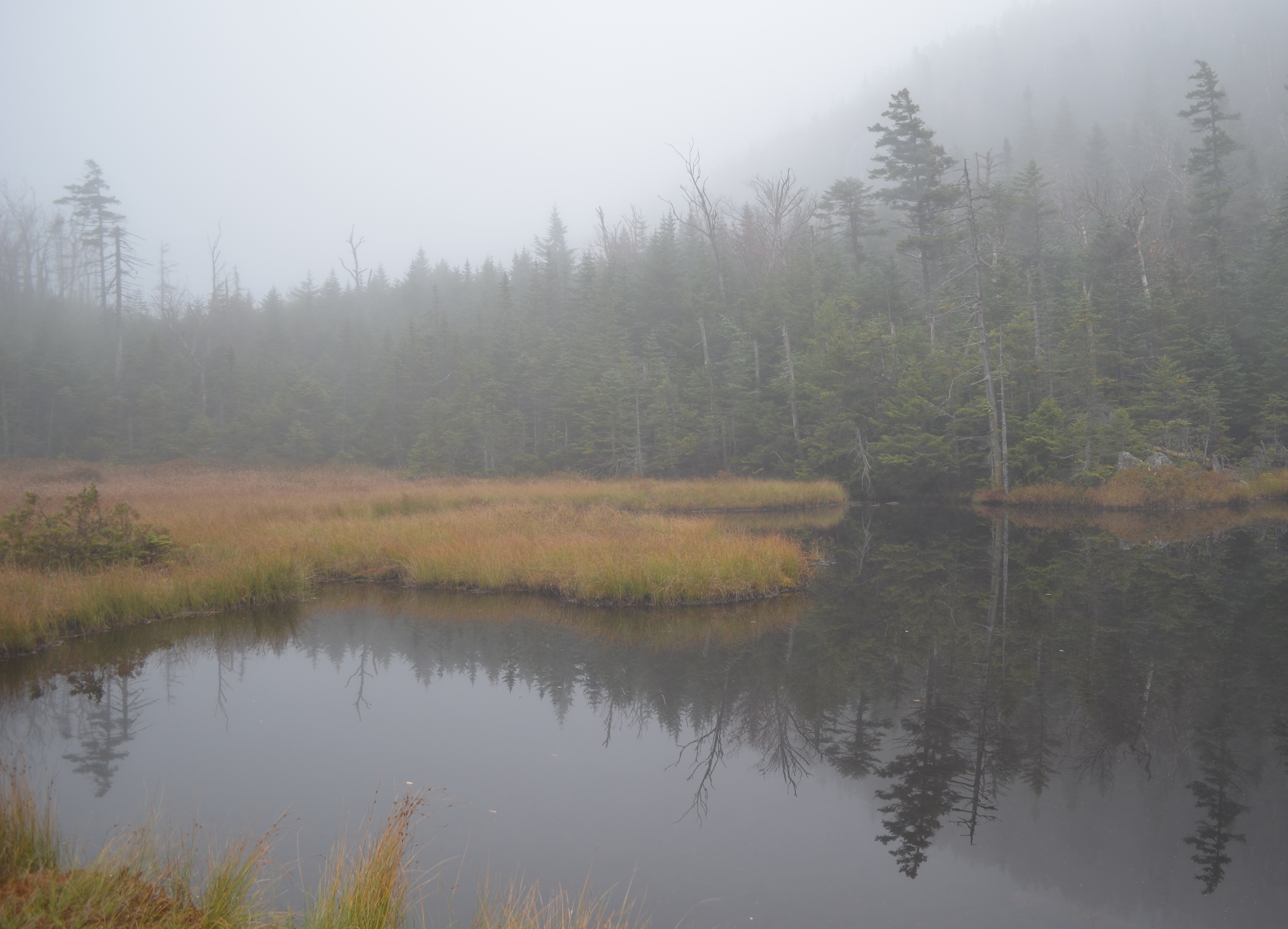 misty Elk Pass pond