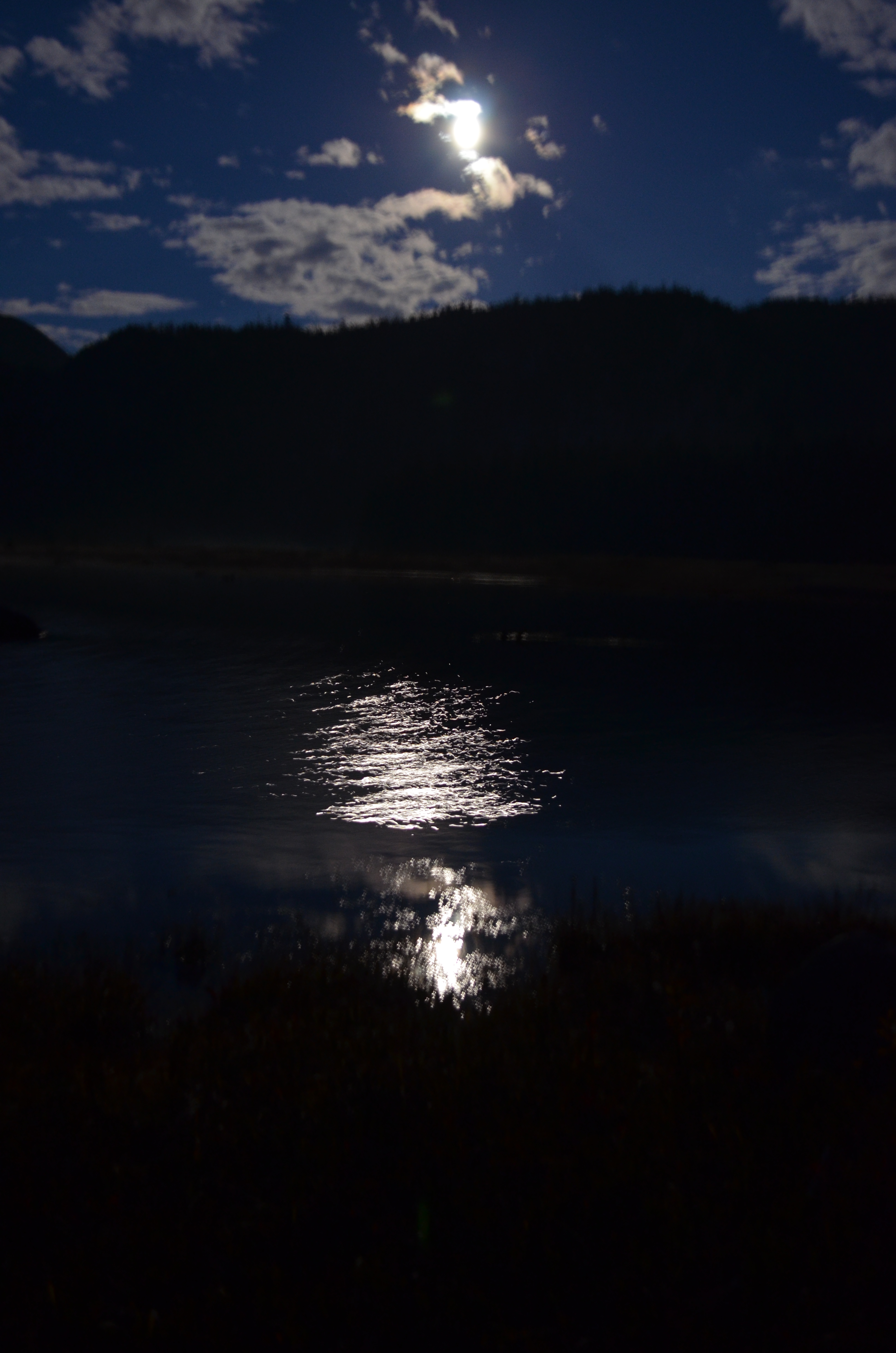 moonlight over Flowed Lands
