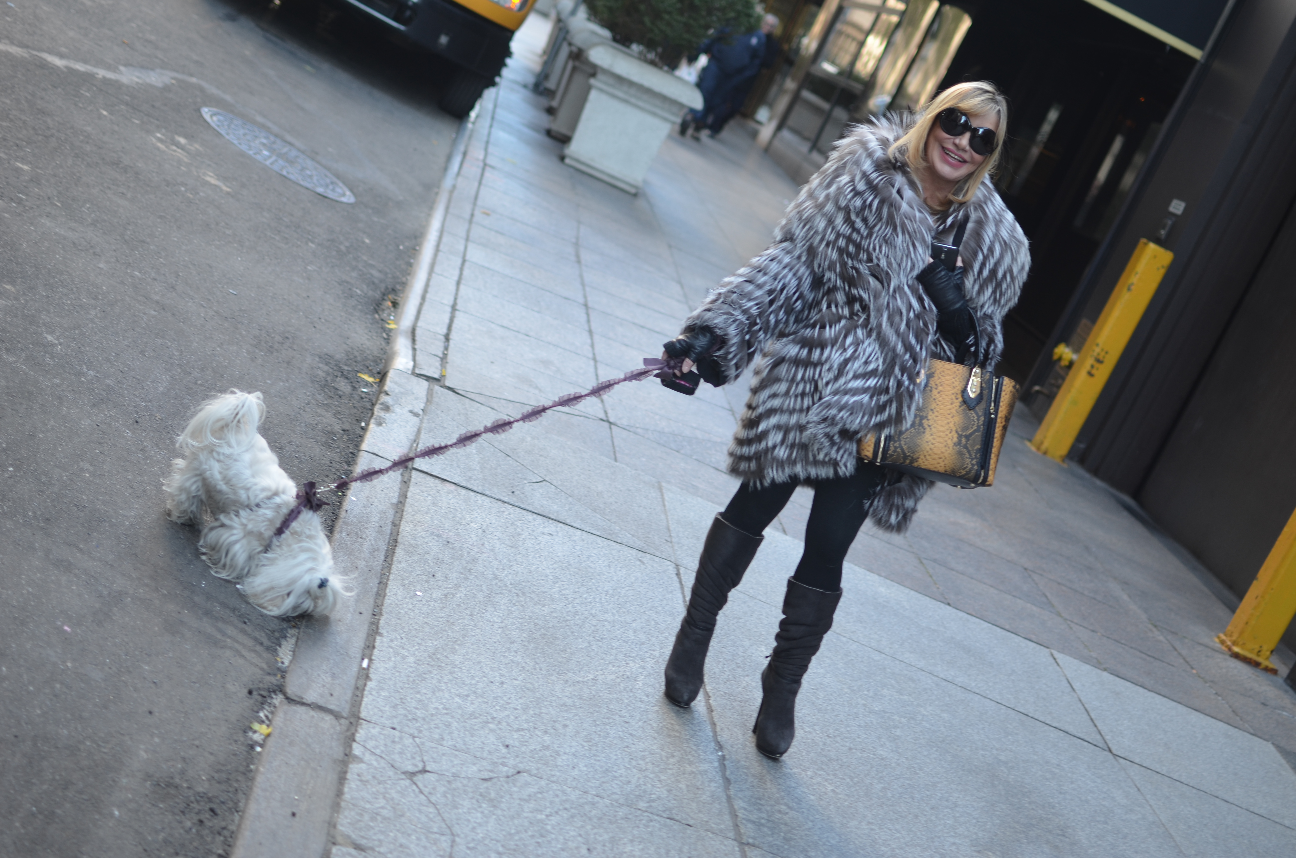 socialite walking her dog
